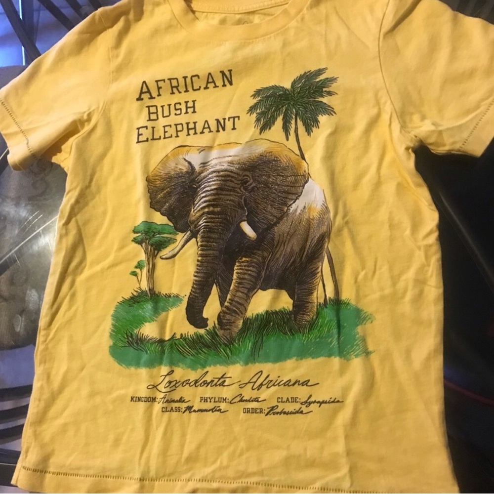 Peek Kids Yellow 'African Bush Elephant' Graphic Tee Size 6/7